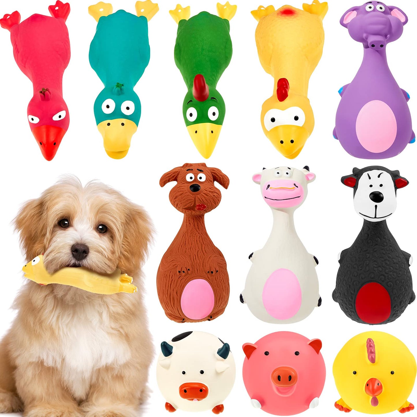 Funny Squeaky Dog Toys Set – Pack of 11