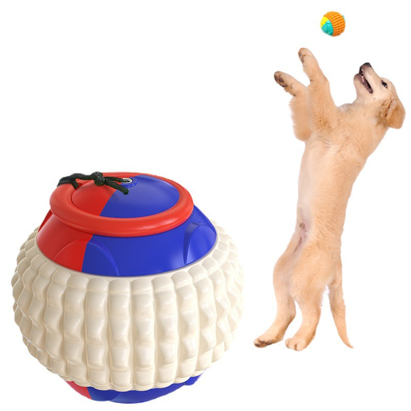 Golfer's Fetch and Train Dog Balls