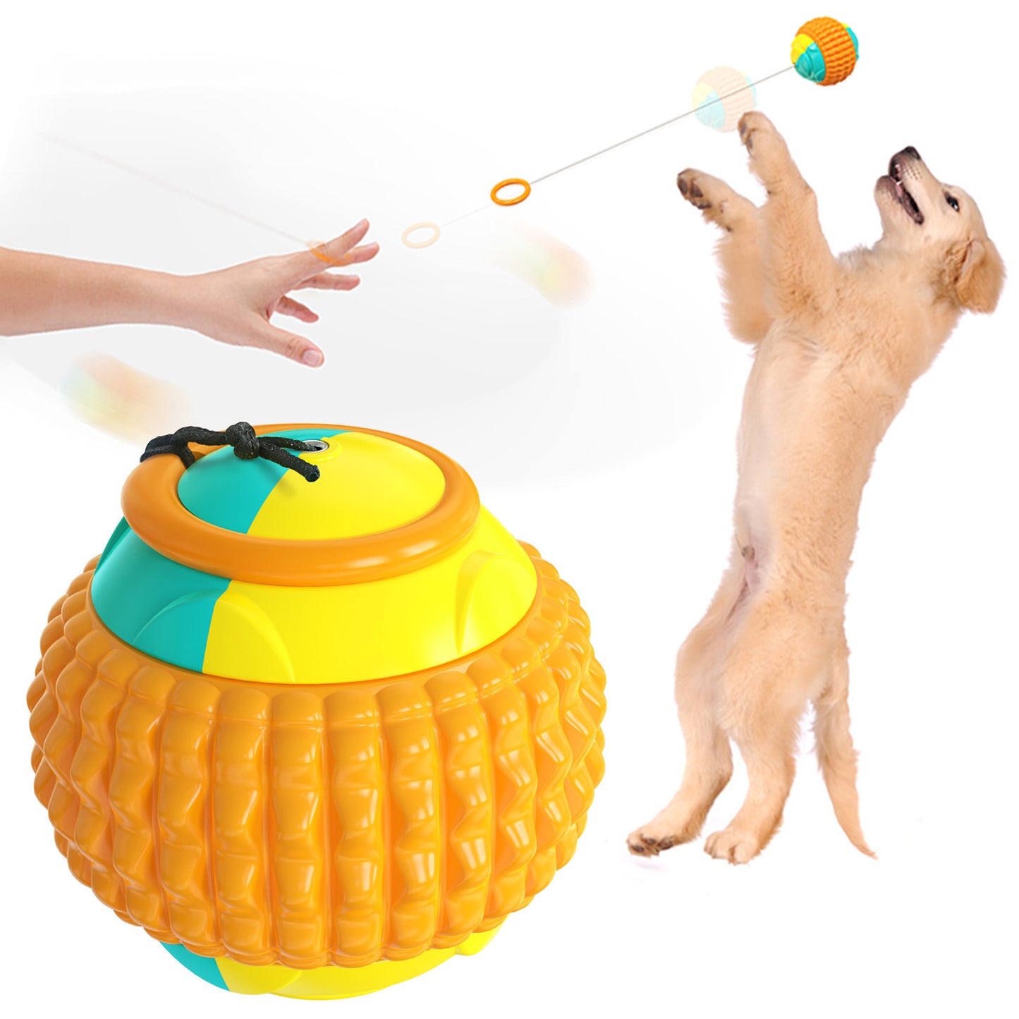 Golfer's Fetch and Train Dog Balls