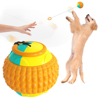 Golfer's Fetch and Train Dog Balls
